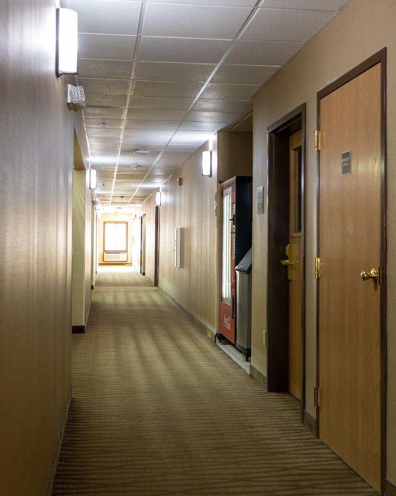 Red Roof Inn Newport News - Йорктаун Екстер'єр фото